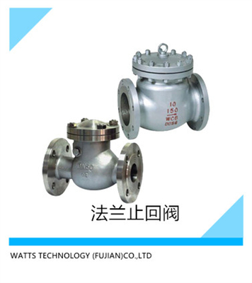 法兰止回阀