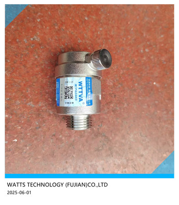 304不锈钢丝口排气阀