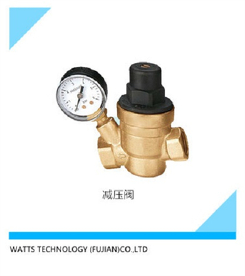 带表活塞式减压阀