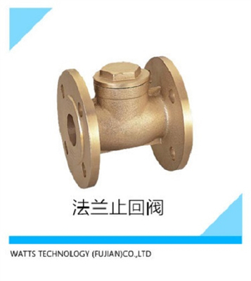 法兰止回阀
